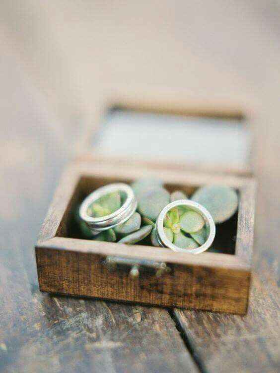 Inspiration succulente - 11