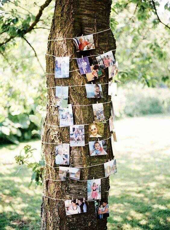 Et si on habillait les arbres?! - 9