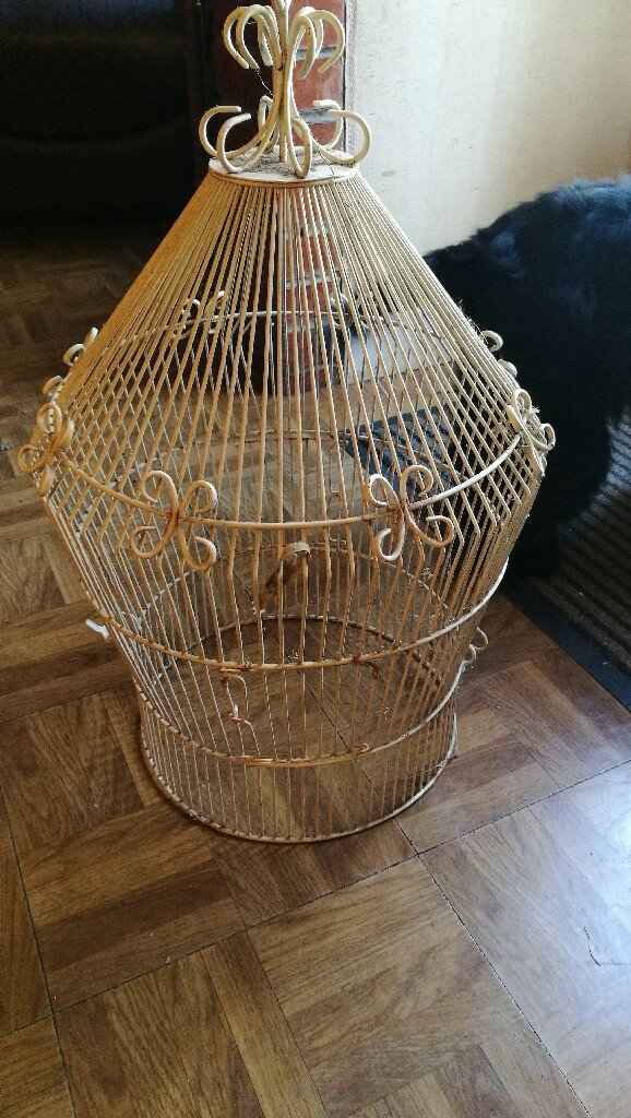 Un tresor dans la maison de la mamie de mr - 1