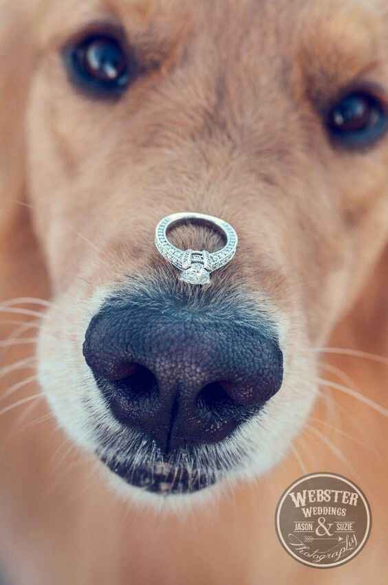 Idees de photos 5 - 2