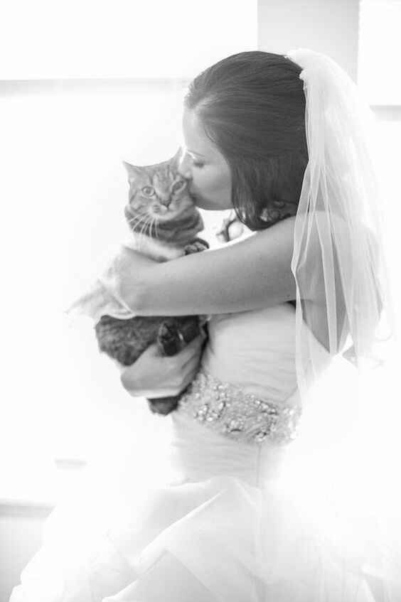 Idees de photos 5 - 5