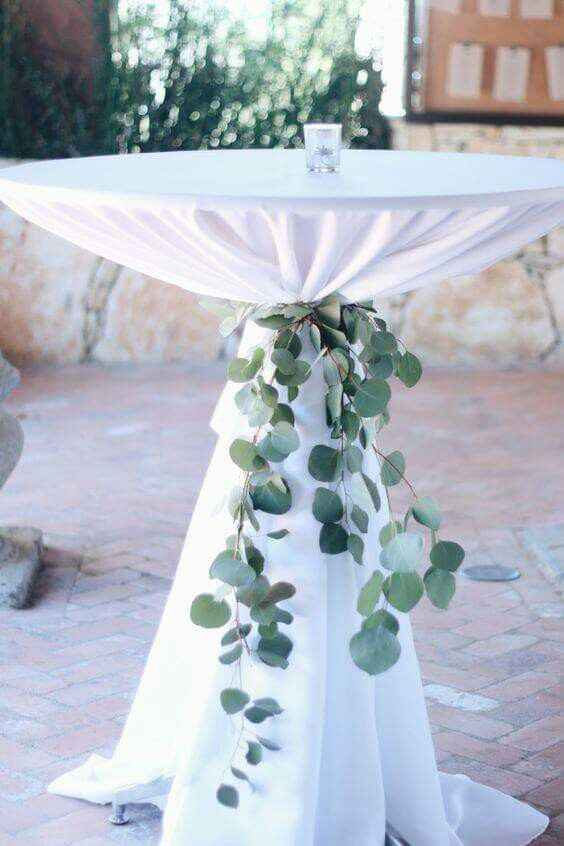  Et pourquoi pas de l'eucalyptus? - 14