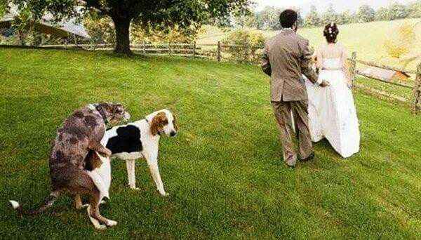  Des photos de mariage loupées - 1