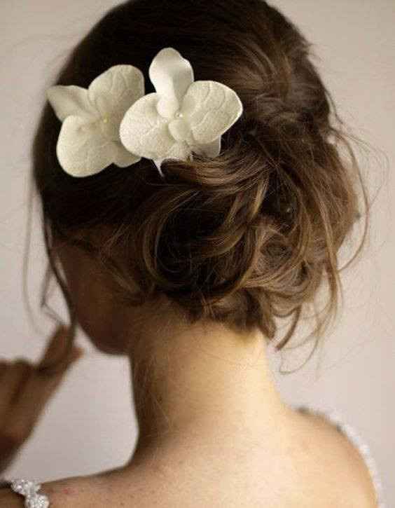 Coiffure 29