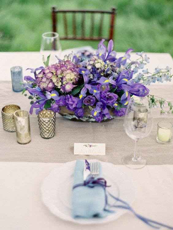 Violet 8