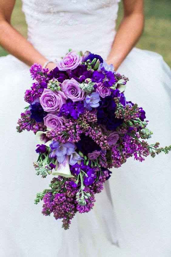 Violet 9