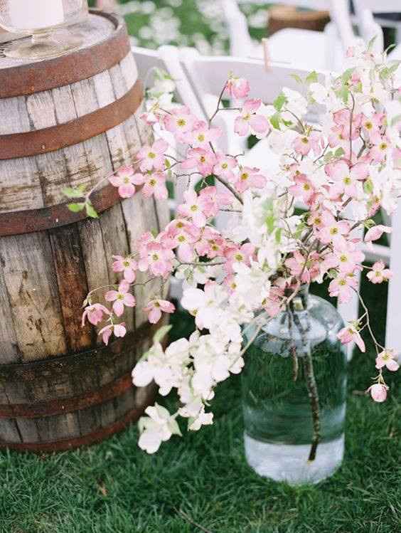 Fleurs de Cornouiller