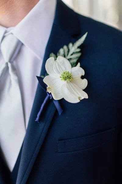 Fleurs de Cornouiller