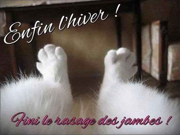 Quand tu as honte de toi même 😂 - 1