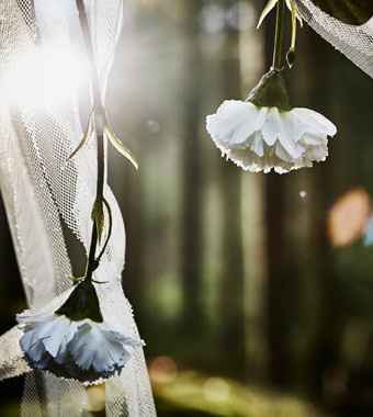 Mariage dans les bois
