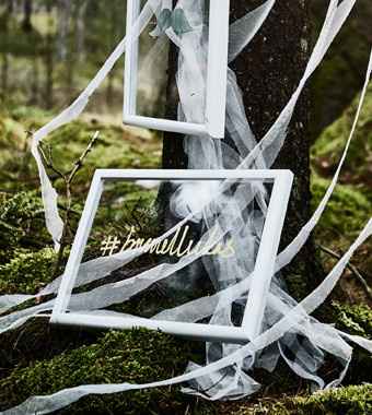 Mariage dans les bois