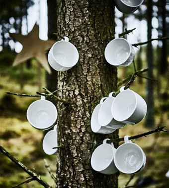 Mariage dans les bois