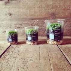 Mariage chimie