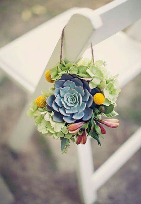 Inspiration succulente - 3
