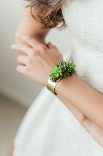Inspiration succulente - 5