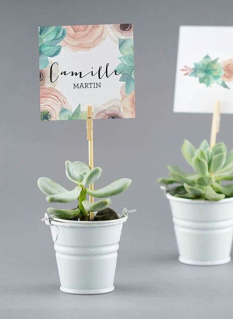 Inspiration succulente - 7
