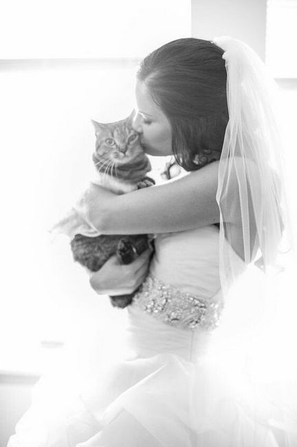 Idees de photos 5 - 5