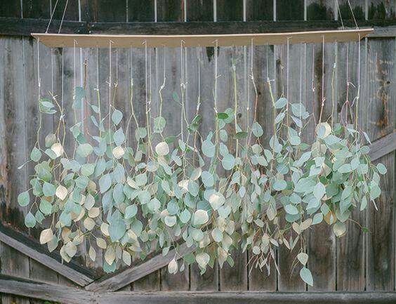Et pourquoi pas de l'eucalyptus? - 9