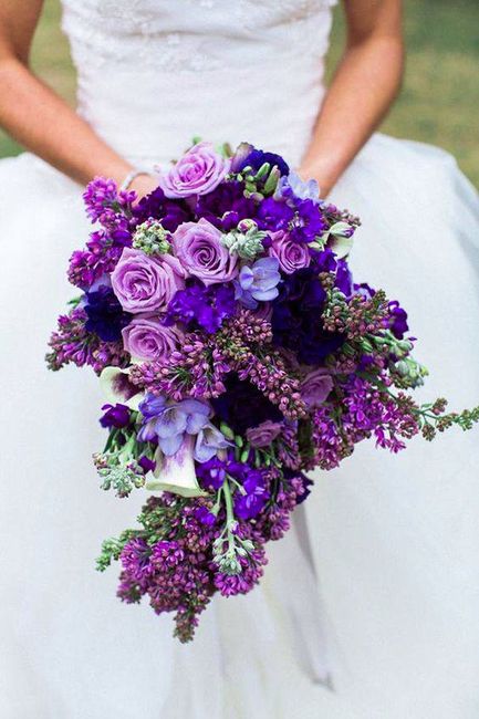 Violet 9