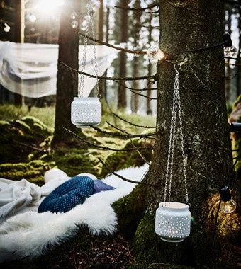 Mariage dans les bois