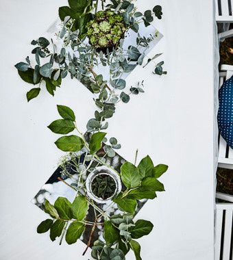 Mariage dans les bois