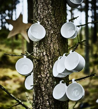 Mariage dans les bois