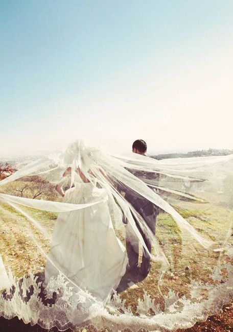 Voile