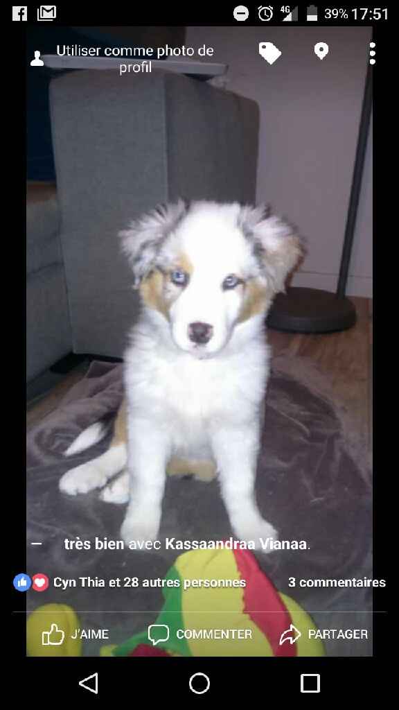 Et les animaux ? - 1