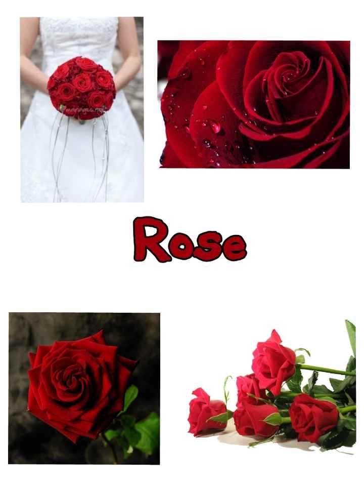 rose.