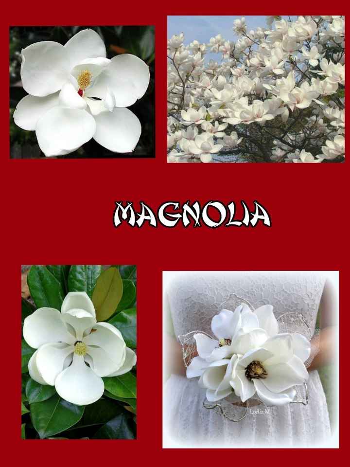 magnolia