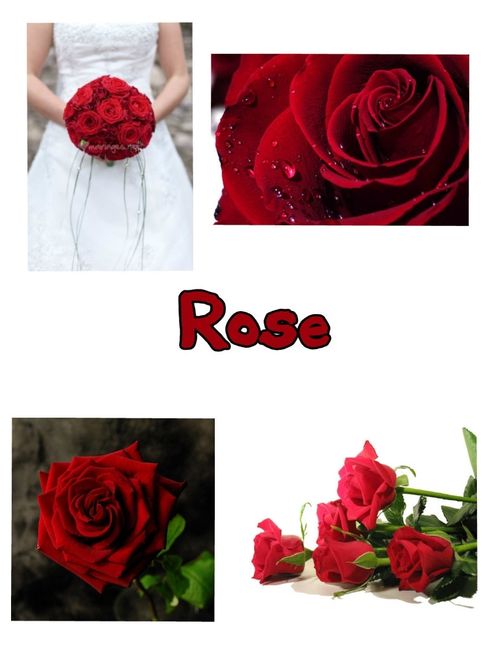 rose.