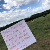 Besoin de votre aide... Encore ! Love note - 1