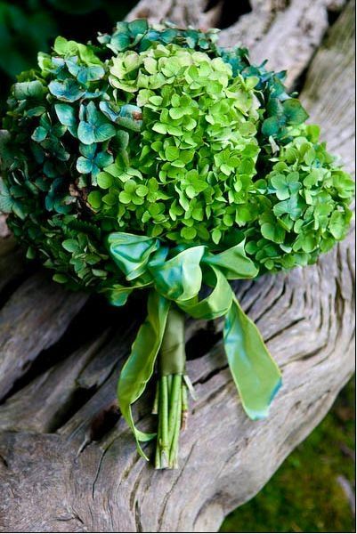 L'hortensia