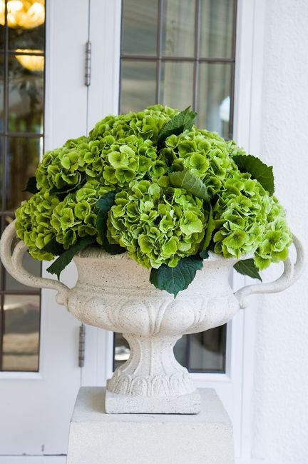 L'hortensia