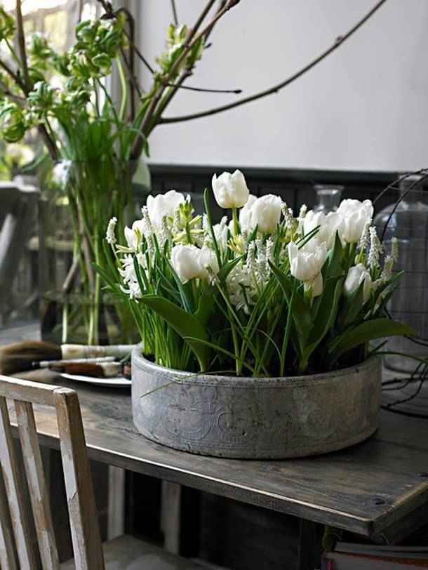 Inspiration floral