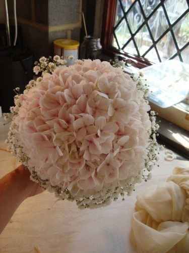 L'hortensia