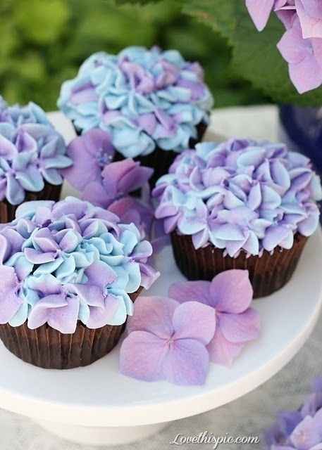 L'hortensia