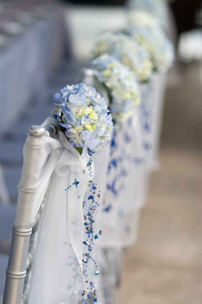 L'hortensia