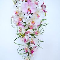 Comment sera votre bouquet ? - 1