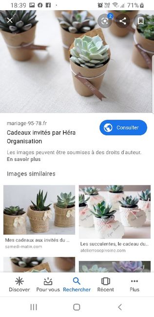 Mini-pots plantes grasses Help ! 1