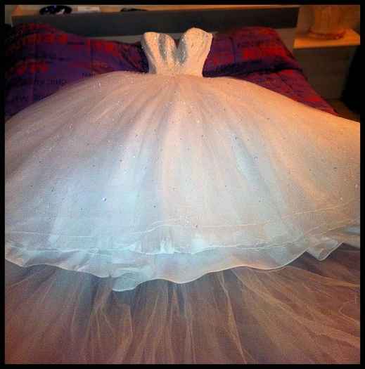 demetrios 937