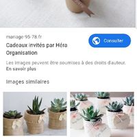 Succulentes - cadeaux invités - 1