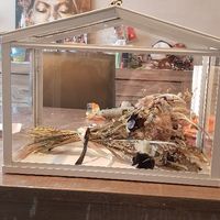 Boîte pour fleurs célibataire - 1