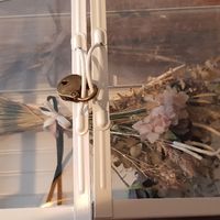 Boîte pour fleurs célibataire - 2