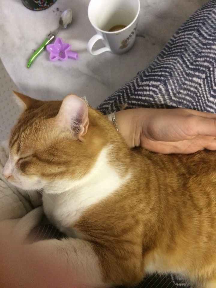  Bah non tu feras pas les enveloppes... - 1