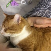  Bah non tu feras pas les enveloppes... - 1