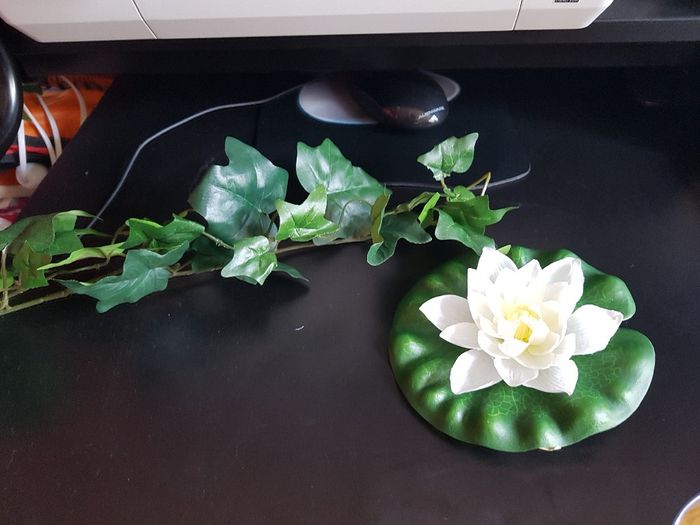  Décoration Thème voyage - 3