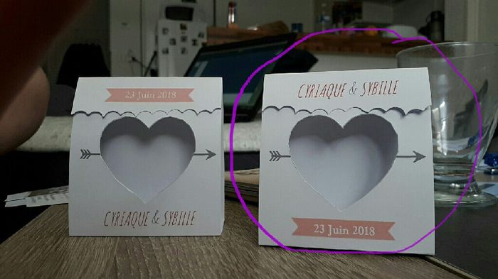  Qui a les couleurs blanc gris et rose ? - 4