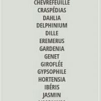 Bouquet de la mariée - 1