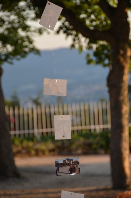 Suspensions photos cocktail